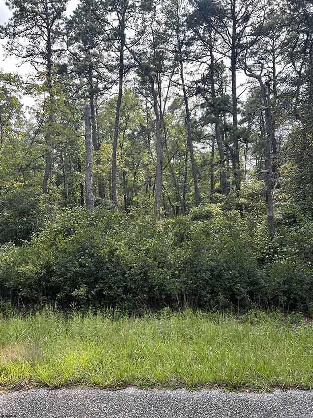 5827  Holly - , MAYS LANDING