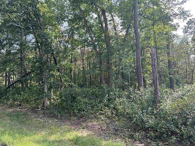 5827  Holly - , MAYS LANDING
