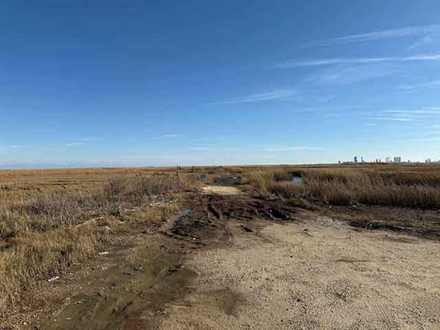 0  Brown,Dickinson,Ocean,Sharswood - , ABSECON
