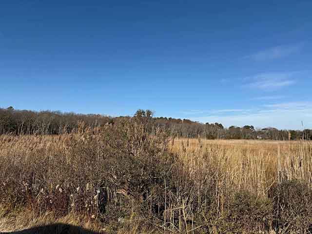 0  Brown,Dickinson,Ocean,Sharswood - , ABSECON