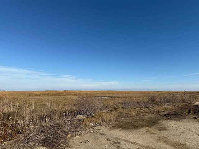 0  Brown,Dickinson,Ocean,Sharswood - , ABSECON