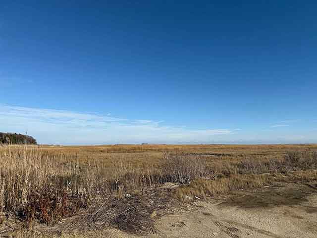 0  Brown,Dickinson,Ocean,Sharswood - , ABSECON