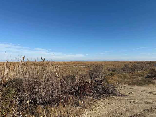 0  Brown,Dickinson,Ocean,Sharswood - , ABSECON