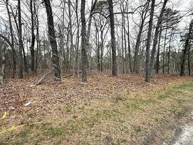 0 W White Horse Pike - , ABSECON