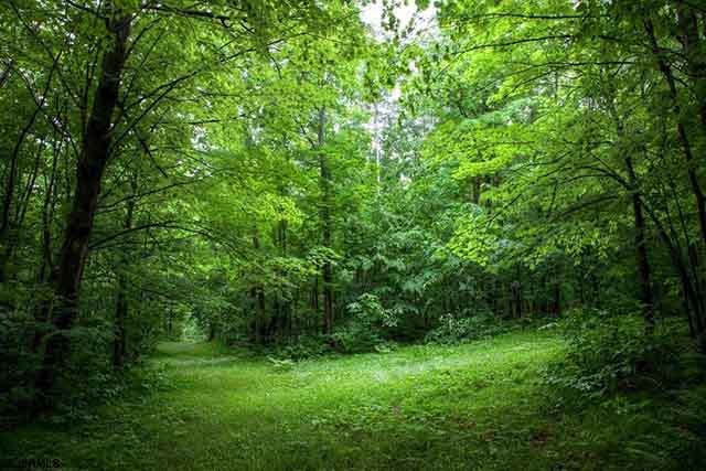 4  Spatterdock Ln - , LINWOOD